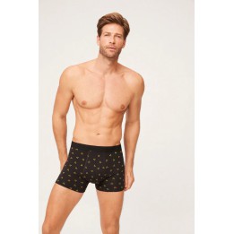 Boxer Trofeo 20320