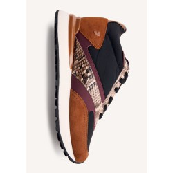 Deportiva Hemlock
