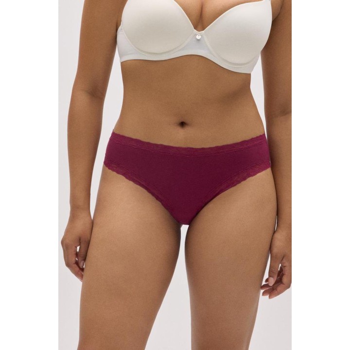 Braguita 19478