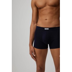Bóxer 20151 Marino