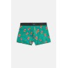 Bóxer 20439 Verde