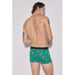 Bóxer 20439 Verde