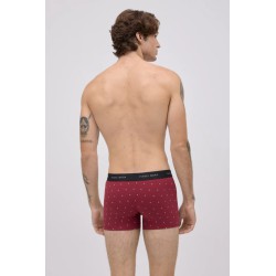 Bóxer 20419 Burdeos
