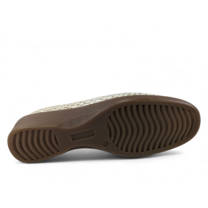 Zapato 510601/32
