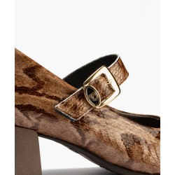 Zapato 11641